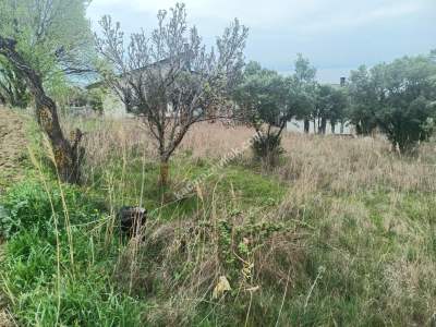 Tekirdağ Şarköy Kirazlı Mahallesi Satılık Konut Arsası 7