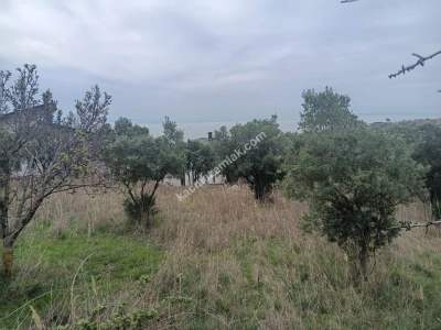 Tekirdağ Şarköy Kirazlı Mahallesi Satılık Konut Arsası 4