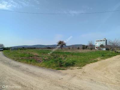 Şarköy Kızılcaterzi Mahallesinde Satılık Konut Arsası 2