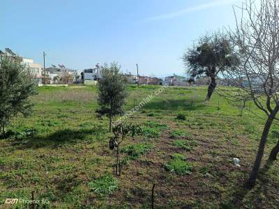 Şarköy Kızılcaterzi Mahallesinde Satılık Konut Arsası 5