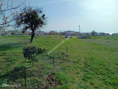 Şarköy Kızılcaterzi Mahallesinde Satılık Konut Arsası 6