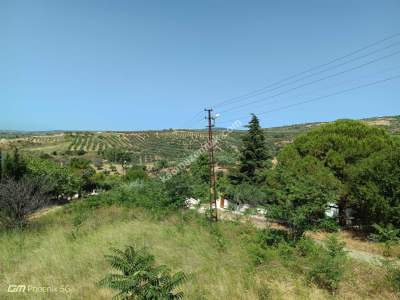 Şarköy Mürefte Mutuk Tatil Sitesi Satılık Konut Arsası 2