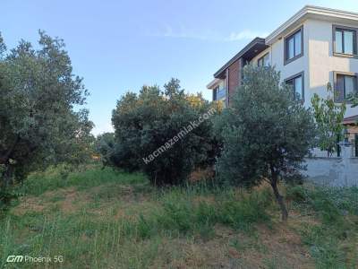 Tekirdağ Şarköy Mürefte Satılık Konut Arsası 6