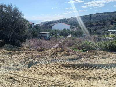 Tekirdağ Şarköy Mürefte Mutuk Tatil Sitesinde Satılık 8