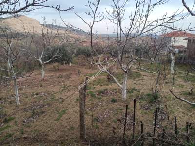 Tekirdağ Şarköy Tepeköy Mahallesi Satılık Konut Arsası 2