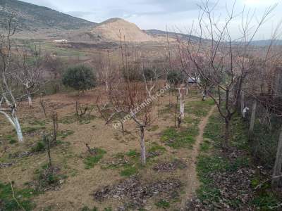 Tekirdağ Şarköy Tepeköy Mahallesi Satılık Konut Arsası 6