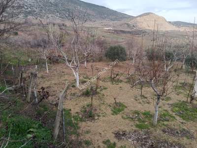 Tekirdağ Şarköy Tepeköy Mahallesi Satılık Konut Arsası 3