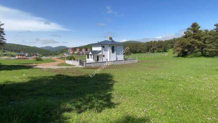 Niksar Çamiçi Yaylasında Tek Tapu Satılık Arsa 1