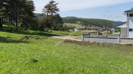 Niksar Çamiçi Yaylasında Tek Tapu Satılık Arsa 3