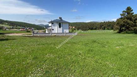 Niksar Çamiçi Yaylasında Tek Tapu Satılık Arsa 2