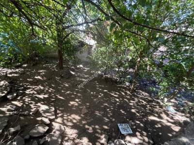 Niksar Kırkkızlar Mahallesinde Satılık Arsa 6