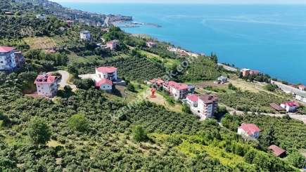 Trabzon Akçaabat Akçakalede Satılık Arsalar 19