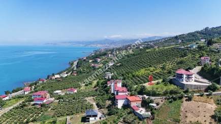 Trabzon Akçaabat Akçakalede Satılık Arsalar​ 21