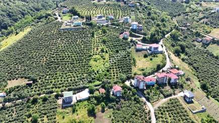 Trabzon Akçaabat Akçakalede Satılık Arsalar​ 22