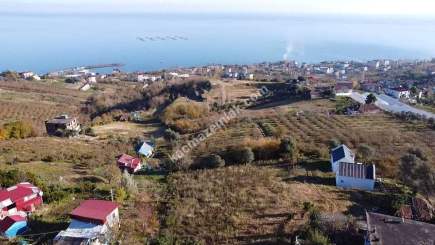 Trabzon Akçaabat Darıca Da Full Manzaralı İmarlı Arsa 12