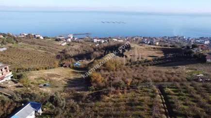 Trabzon Akçaabat Darıca Da Full Manzaralı İmarlı Arsa 16