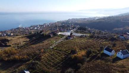 Trabzon Akçaabat Darıca Da Full Manzaralı İmarlı Arsa 15