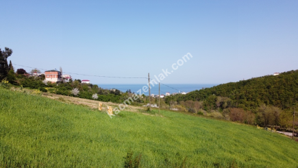 Trabzon Akçaabat Darıcada Satılık 484 M2 Arsa 6