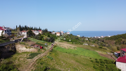 Trabzon Akçaabat Darıcada Satılık 484 M2 Arsa 8