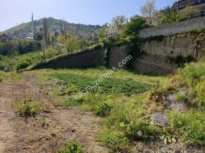 Trabzon Akçaabat Darıcada Satılık 439 M2 Arsa 7