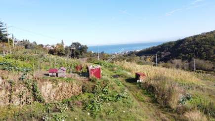 Trabzon Akçaabat Darıcada Satılık 439 M2 Arsa 11