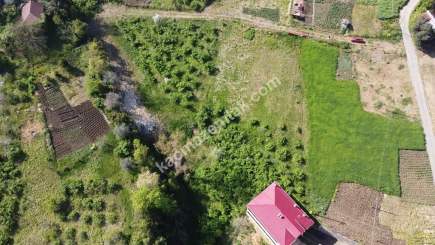 Trabzon Akçaabat Darıcada Satılık Arazi​ 6