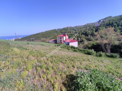 Trabzon Akçaabat Darıcada Satılık Arazi​ 10