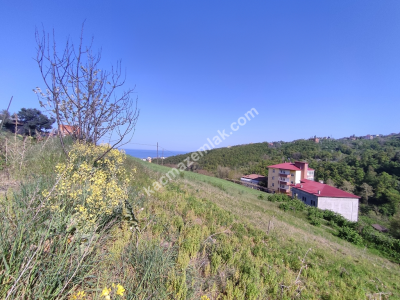 Trabzon Akçaabat Darıcada Satılık Arazi​ 9