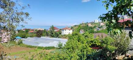 Trabzon Akçaabat Merkezde Satılık 2 Tane Arsa 9