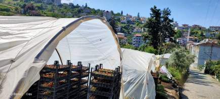 Trabzon Akçaabat Merkezde Satılık 2 Tane Arsa 6