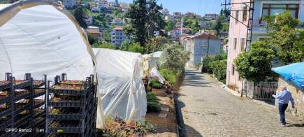 Trabzon Akçaabat Merkezde Satılık 2 Tane Arsa 10