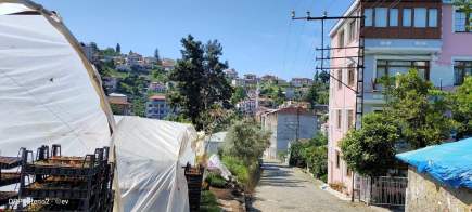 Trabzon Akçaabat Merkezde Satılık 2 Tane Arsa 11