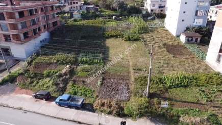 Akçaabat Kavaklıda Anayol Üzeri Satılık İmarlı Fırsat A 11