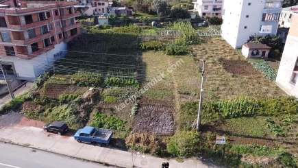 Akçaabat Kavaklıda Anayol Üzeri Satılık İmarlı Fırsat A 10