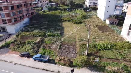 Akçaabat Kavaklıda Anayol Üzeri Satılık İmarlı Fırsat A 9