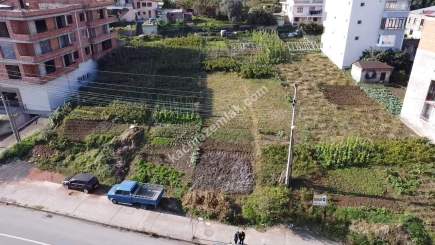 Akçaabat Kavaklıda Anayol Üzeri Satılık İmarlı Fırsat A 17