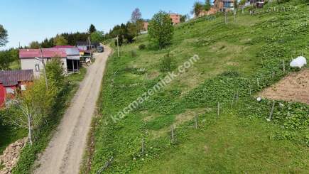 Trabzon Akçaabat Kayabaşı Yaylasında Satılık Arsa 9