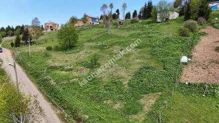 Trabzon Akçaabat Kayabaşı Yaylasında Satılık Arsa 8