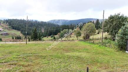 Trabzon Akçaabat Kayabaşında Satılık Arsa 4