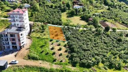 Trabzon Akçaabat Söğütlü'de Satılık Arsa 4