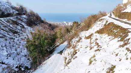 Trabzon Akçaabat Söğütlü'de Satılık Arsa 6