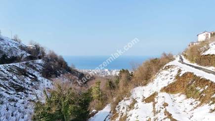 Trabzon Akçaabat Söğütlü'de Satılık Arsa 7