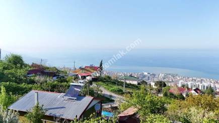 Trabzon Akçaabat Söğütlü'de Satılık 16