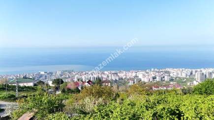 Trabzon Akçaabat Söğütlü'de Satılık 14
