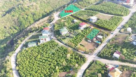 Trabzon Akçaabat Söğütlü'de Satılık 11