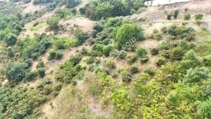 Trabzon Akçaabat Söğütlüde Satılık Arsalar 8