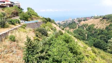 Trabzon Akçaabat Söğütlüde Satılık Arsalar 14