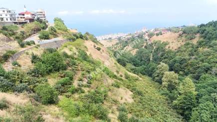 Trabzon Akçaabat Söğütlüde Satılık Arsalar 12