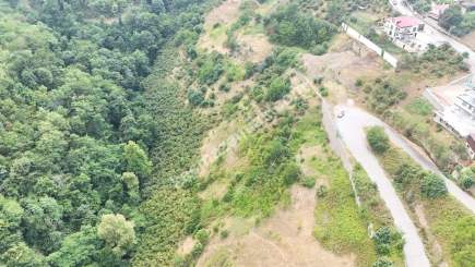 Trabzon Akçaabat Söğütlüde Satılık Arsalar 6