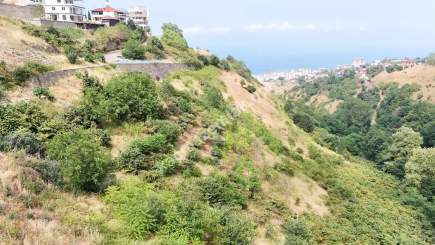 Trabzon Akçaabat Söğütlüde Satılık Arsalar 13